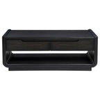Leandro 2-drawer Wood Cocktail Coffee Table Burnished Black