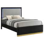 Caraway Wood Eastern King LED Panel Bed White
