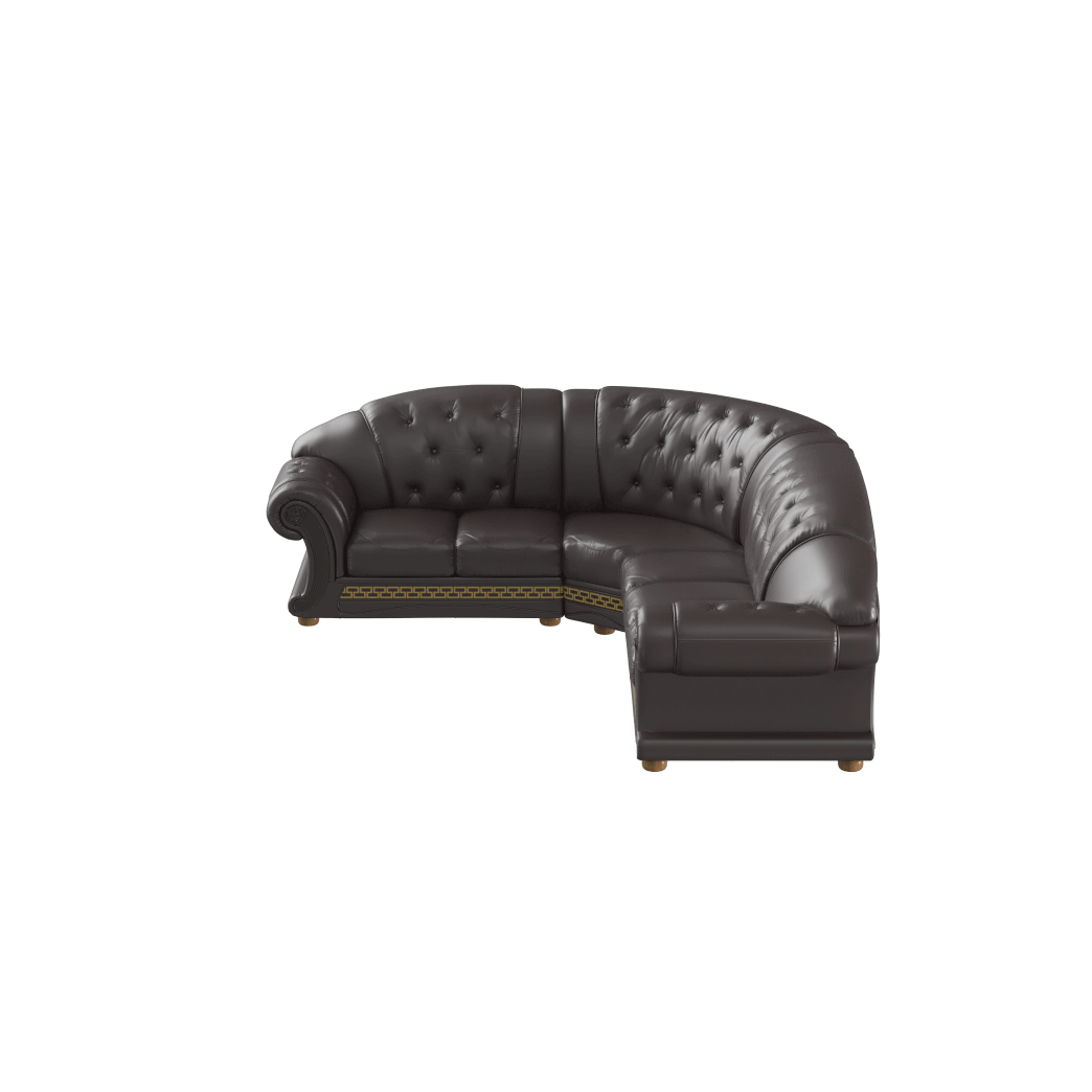 ESF Furniture - Apolo Sectional in Brown - APOLOSECT-RIGHTBROWN