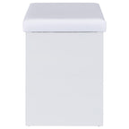 Bunbury Makeup Vanity Table Set Storage Mirror and Stool White