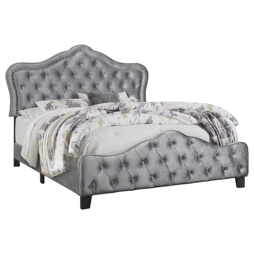 Bella Bed