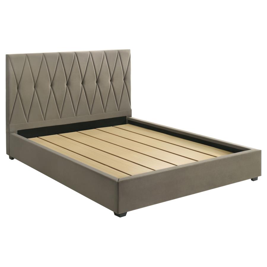 Delsea Bed