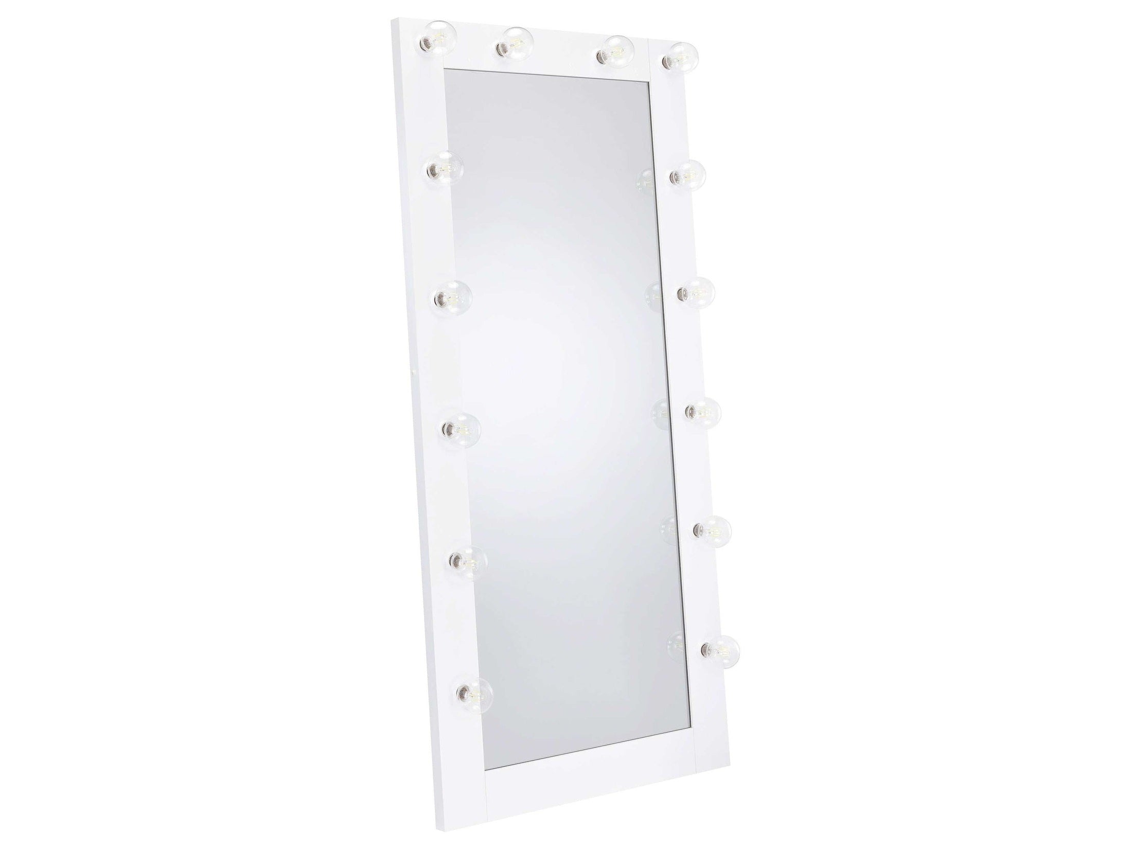 Zayan 32 x 71 Inch Floor Mirror LED Lighting Black Gloss