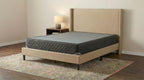 Mavenwood Aksel VII Mattress / Foundation