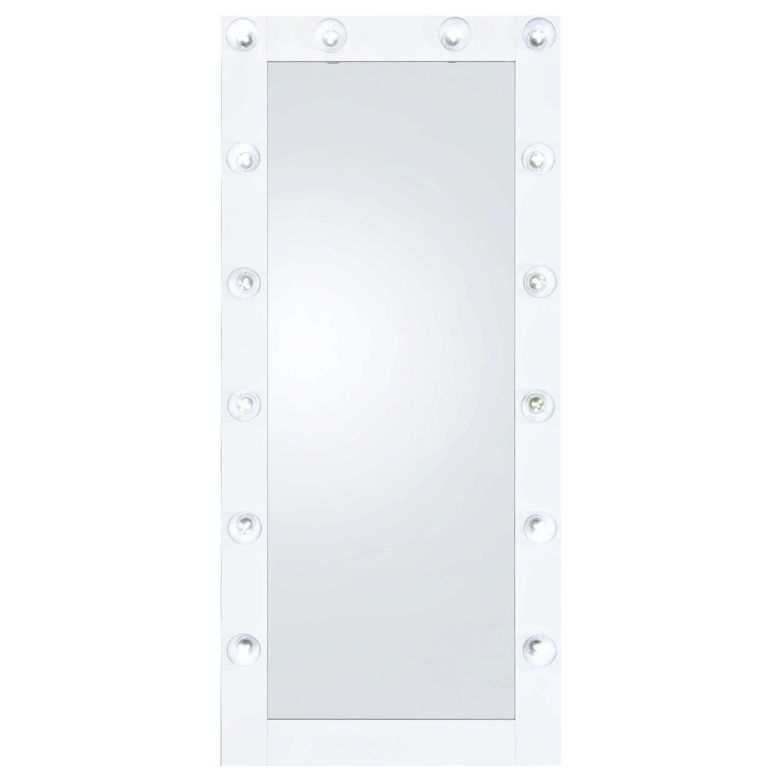 Zayan 32 x 71 Inch Floor Mirror LED Lighting Black Gloss