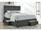 Soledad Upholstered Queen Storage Panel Bed Grey