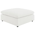 Raleigh Ottoman / Bench