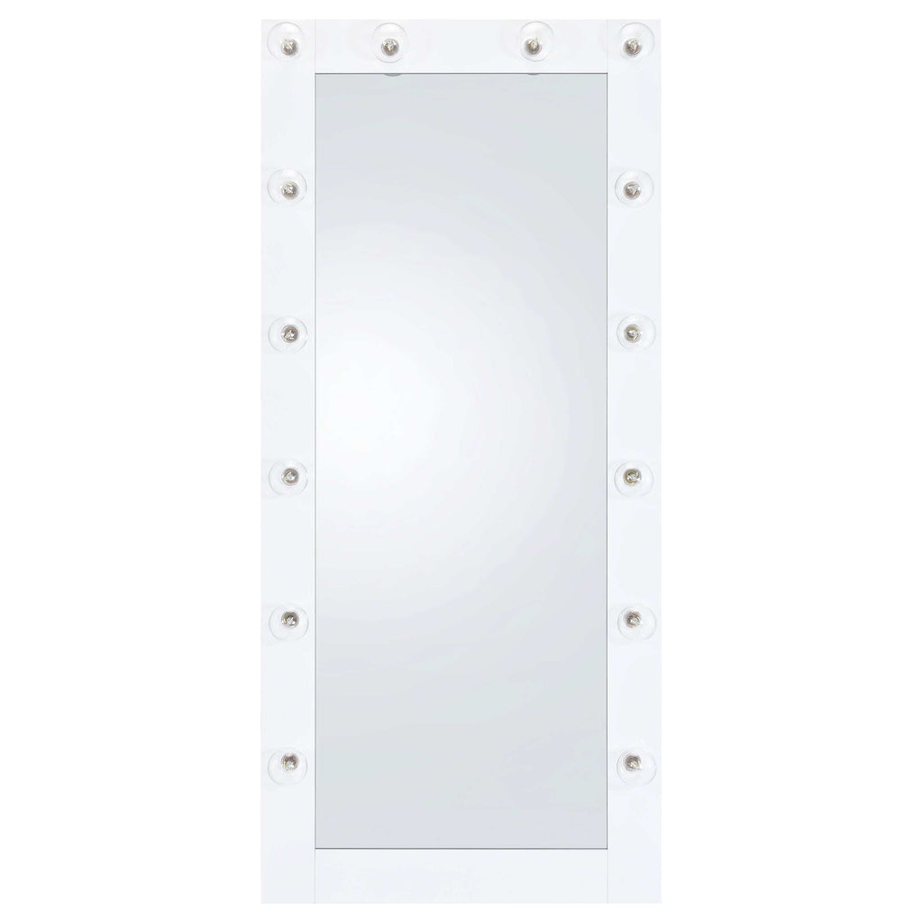 Zayan 32 x 71 Inch Floor Mirror LED Lighting Black Gloss