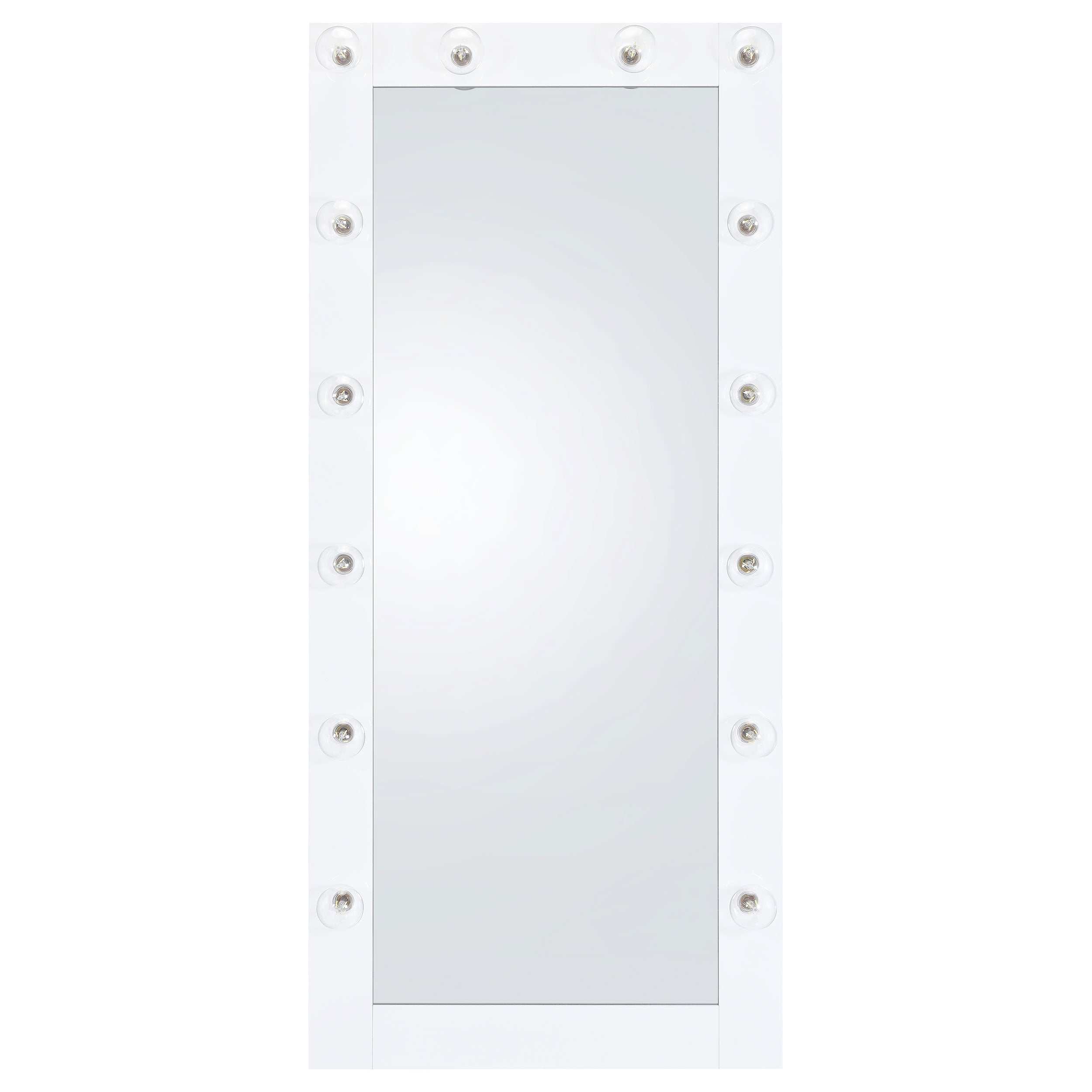 Zayan 32 x 71 Inch Floor Mirror LED Lighting Black Gloss