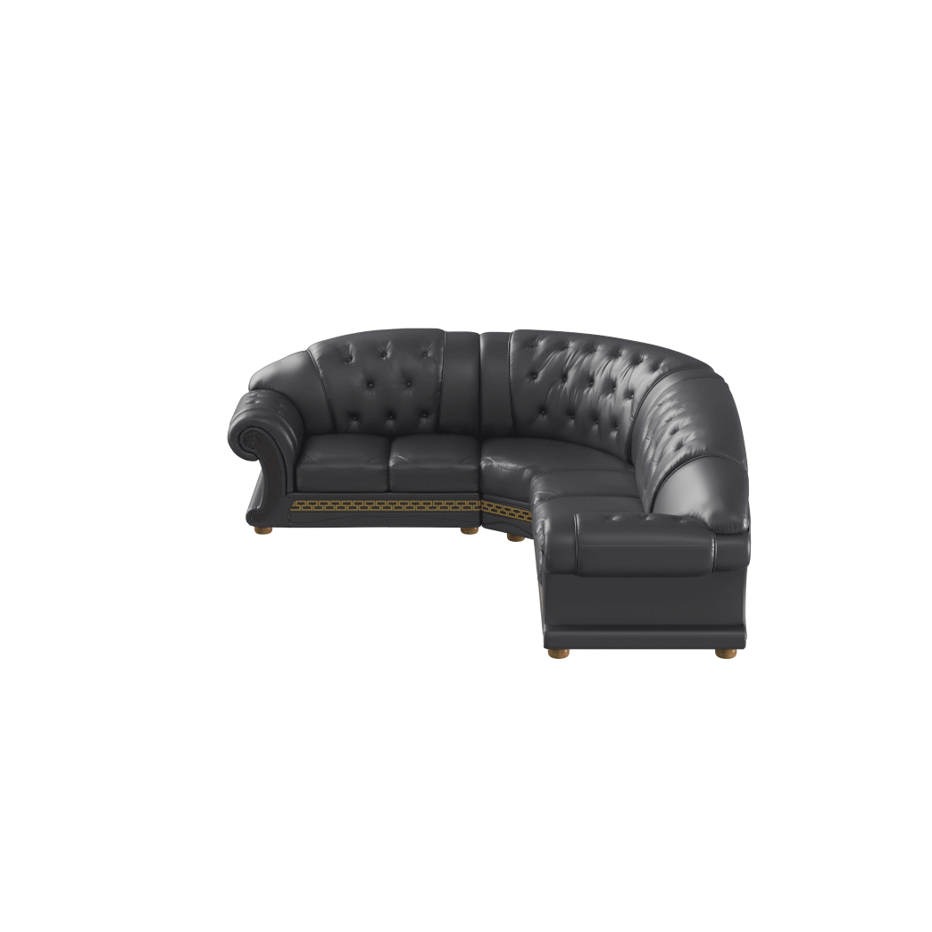 ESF Furniture - Apolo Sectional in Black - APOLOSECT-LEFTBLAC