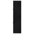 Denison 67-inch 2-door Media Tower Storage Cabinet Black