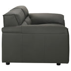 Buxton 2-piece Leather Upholstered Sofa Set Graphite