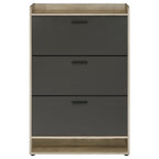 Denia 3-tier Engineered Wood Shoe Cabinet White