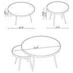 Kaelyn Mirror & Gold Nesting Coffee Table  / 2pc