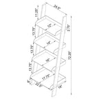 Amaturo Clear Acrylic Ladder Bookcase