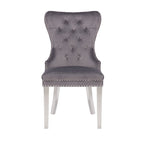Galaxy Home Simba Stainless Steel Legs Dining Chair (Set of 2) in Grey