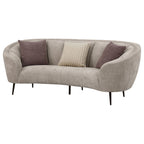 Ellorie 2-piece Upholstered Curved Sofa Set Beige