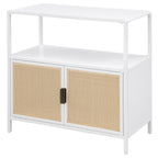 Amherst White 2-door Accent Cabinet