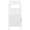Amherst White 2-door Accent Cabinet