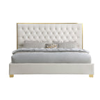 B600 Rose (Cream) 55"H