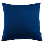 Enhance Performance Velvet Throw Pillow