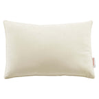 Enhance Lumbar Performance Velvet Throw Pillow