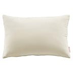 Enhance Lumbar Performance Velvet Throw Pillow