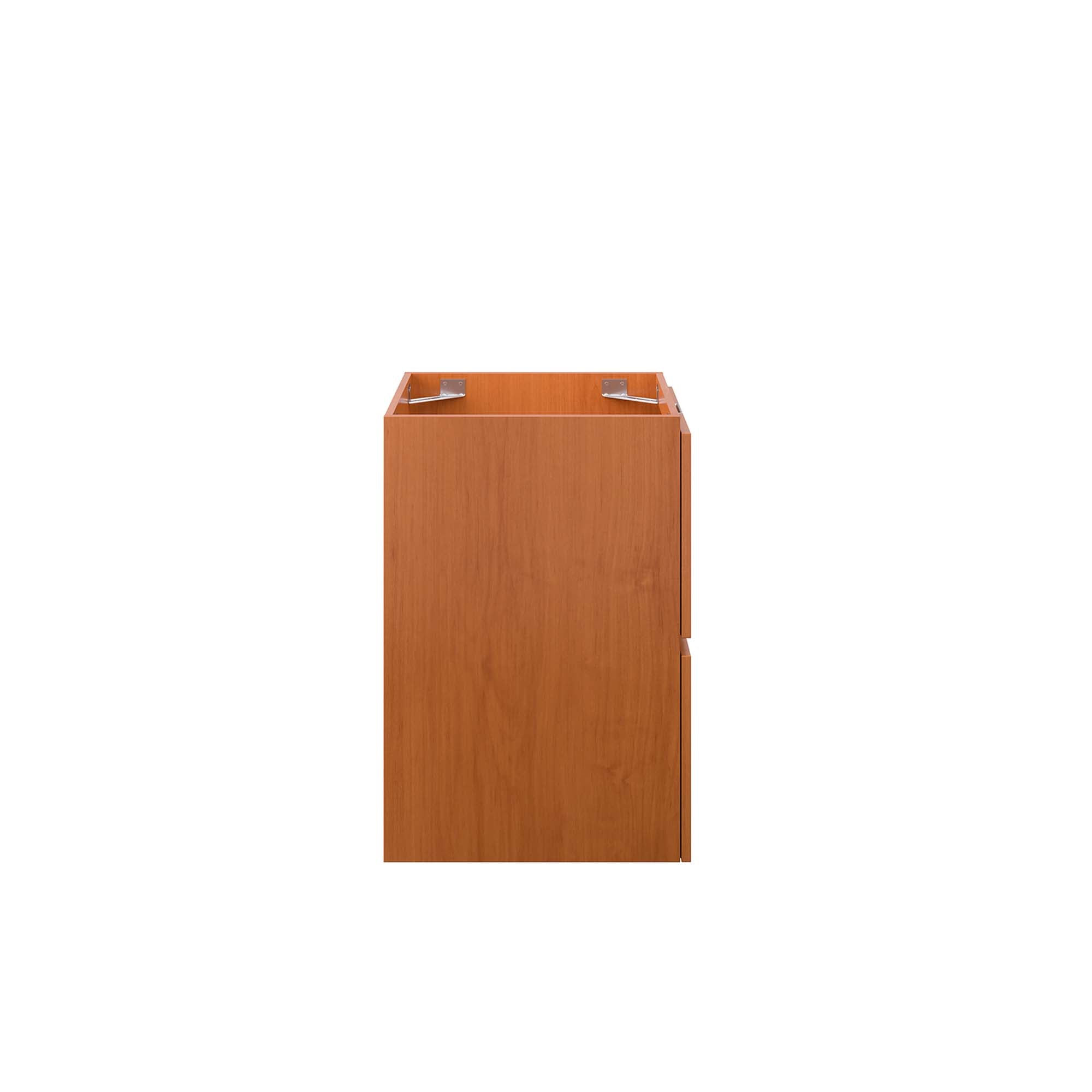 Scenic Wall-Mount Bathroom Cabinet Basin Not Included