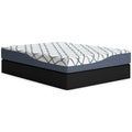 ASM425 Chime 10" Elite Firm