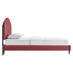 Daisy Performance Velvet Platform Bed Wood and Gold Legs