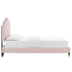 Elise Performance Velvet Platform Bed With Wood and Gold Legs
