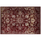Cynara Distressed Floral Vintage Medallion Area Rug