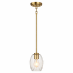 Vista Single Pendant Chain Hanging Light with Clear Glass - Satin Brass
