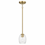 Vista Single Pendant Chain Hanging Light with Clear Glass - Satin Brass