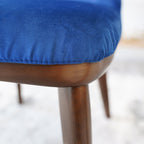 Clove Navy Blue Velvet Dining Chair (Set Of 2)