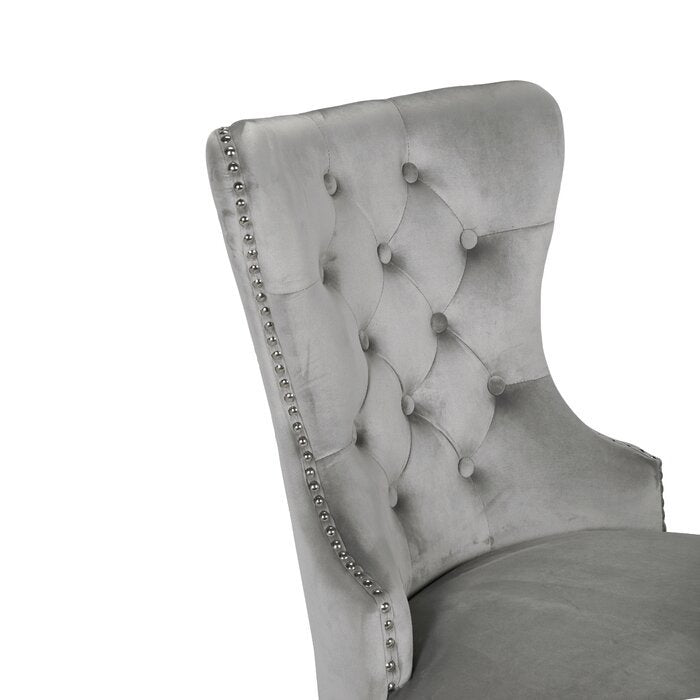 Galaxy Home Erica Stainless Steel Legs Dining Chair (Set of 2) in Light Grey