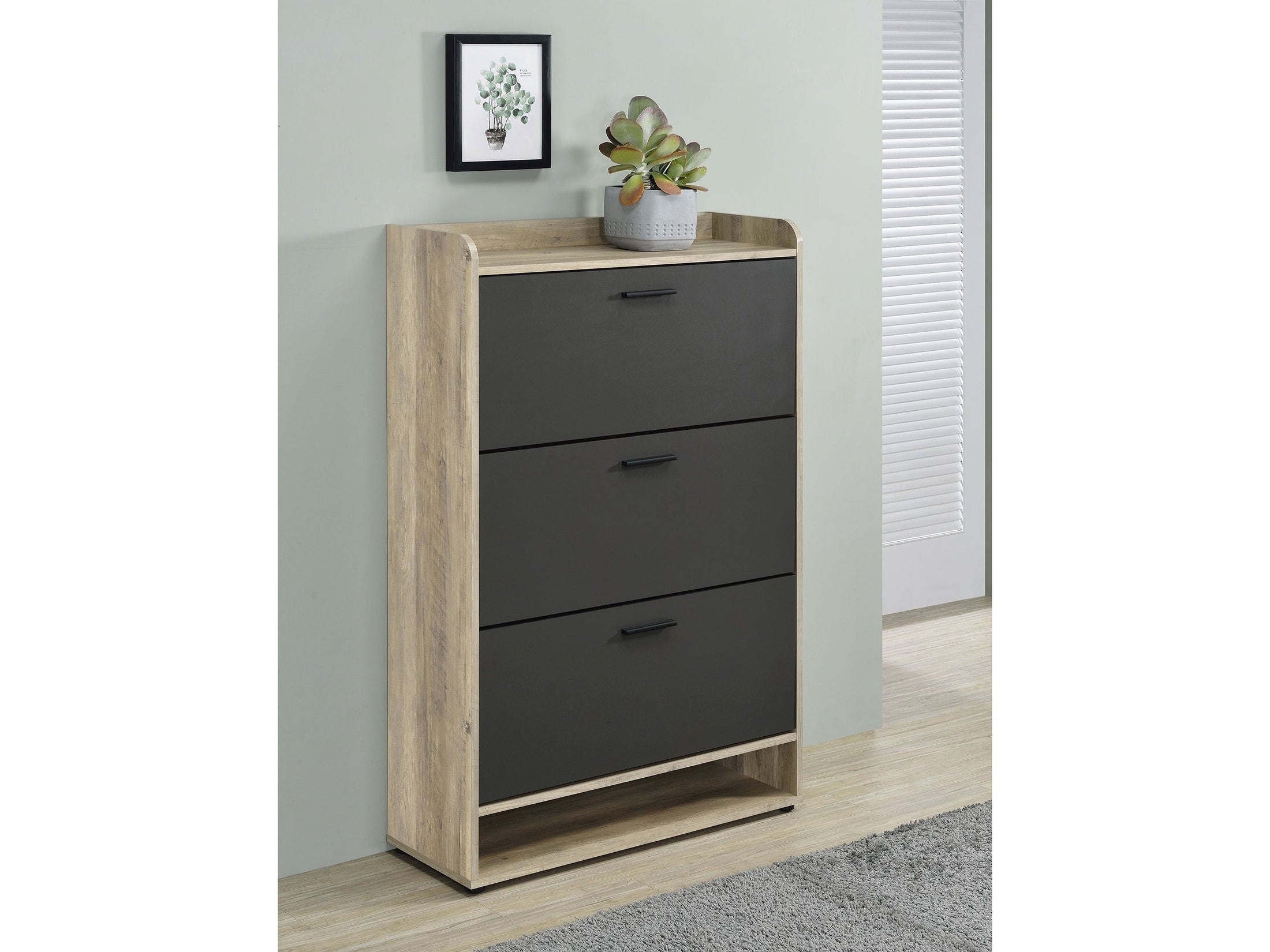 Denia 3-tier Engineered Wood Shoe Cabinet White