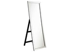 Soline 22 x 61 Inch Framed Standing Floor Mirror Silver