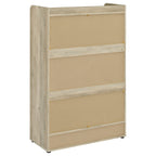 Denia 3-tier Engineered Wood Shoe Cabinet White
