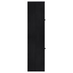 Denison 67-inch 2-door Media Tower Storage Cabinet Black
