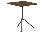 Heitor Square Wood Top Accent Side Table Dark Brown