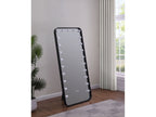 Canton 32 x 71 Inch LED Standing Mirror with Speakers Black