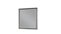 Galaxy Home Kenzo Mirror Gray