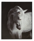 Ashley A8000409 - Wall Art