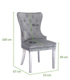 Galaxy Home Simba Stainless Steel Legs Dining Chair (Set of 2) in Silver