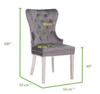 Galaxy Home Simba Stainless Steel Legs Dining Chair (Set of 2) in Grey