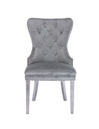 Galaxy Home Simba Stainless Steel Legs Dining Chair (Set of 2) in Silver